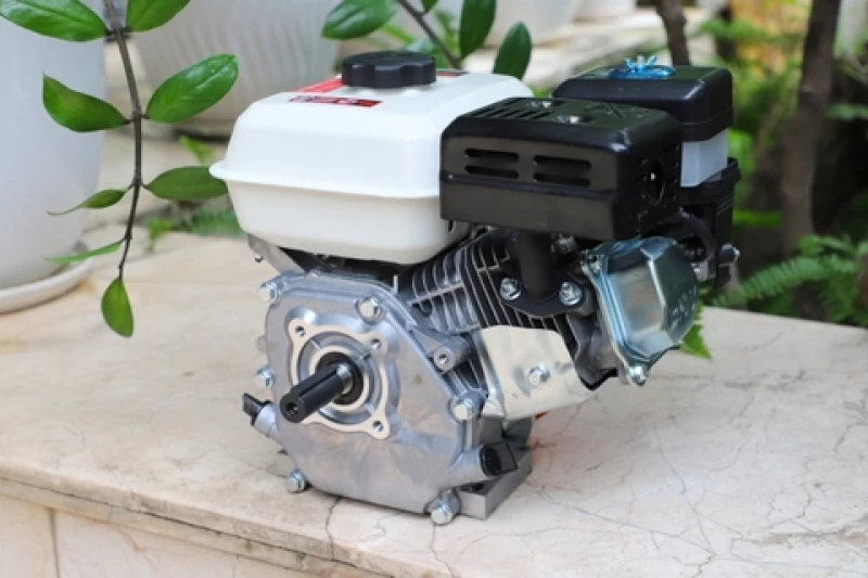 Động cơ nổ Pona PN160 5.5HP Cam-trắng-đen 4 thì - Hình ảnh 12 PONA