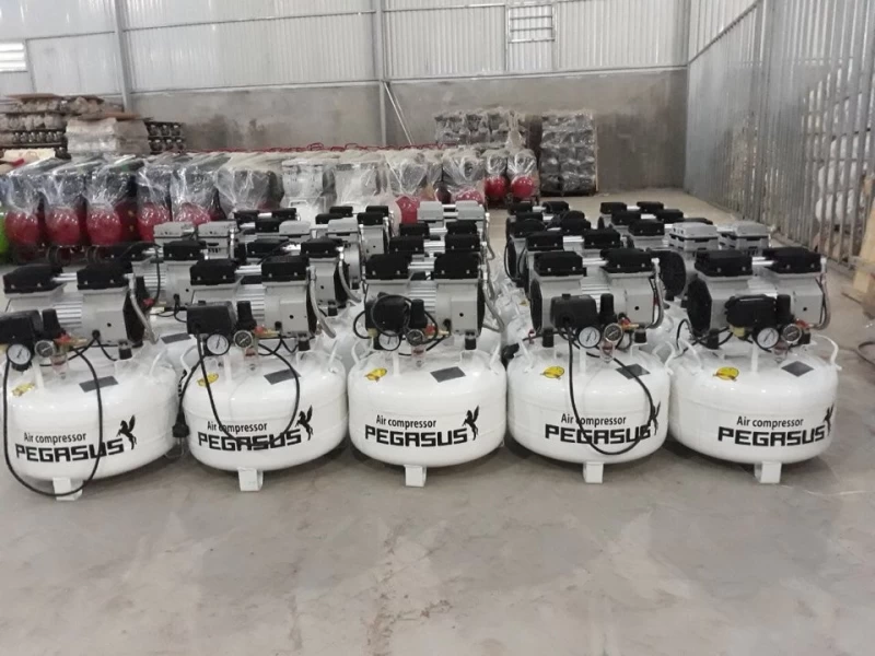 Máy Nén Khí Không Dầu Giảm Âm 0.75Hp 40L Pegasus TM-OF550-40L - Hình ảnh 1 PEGASUS