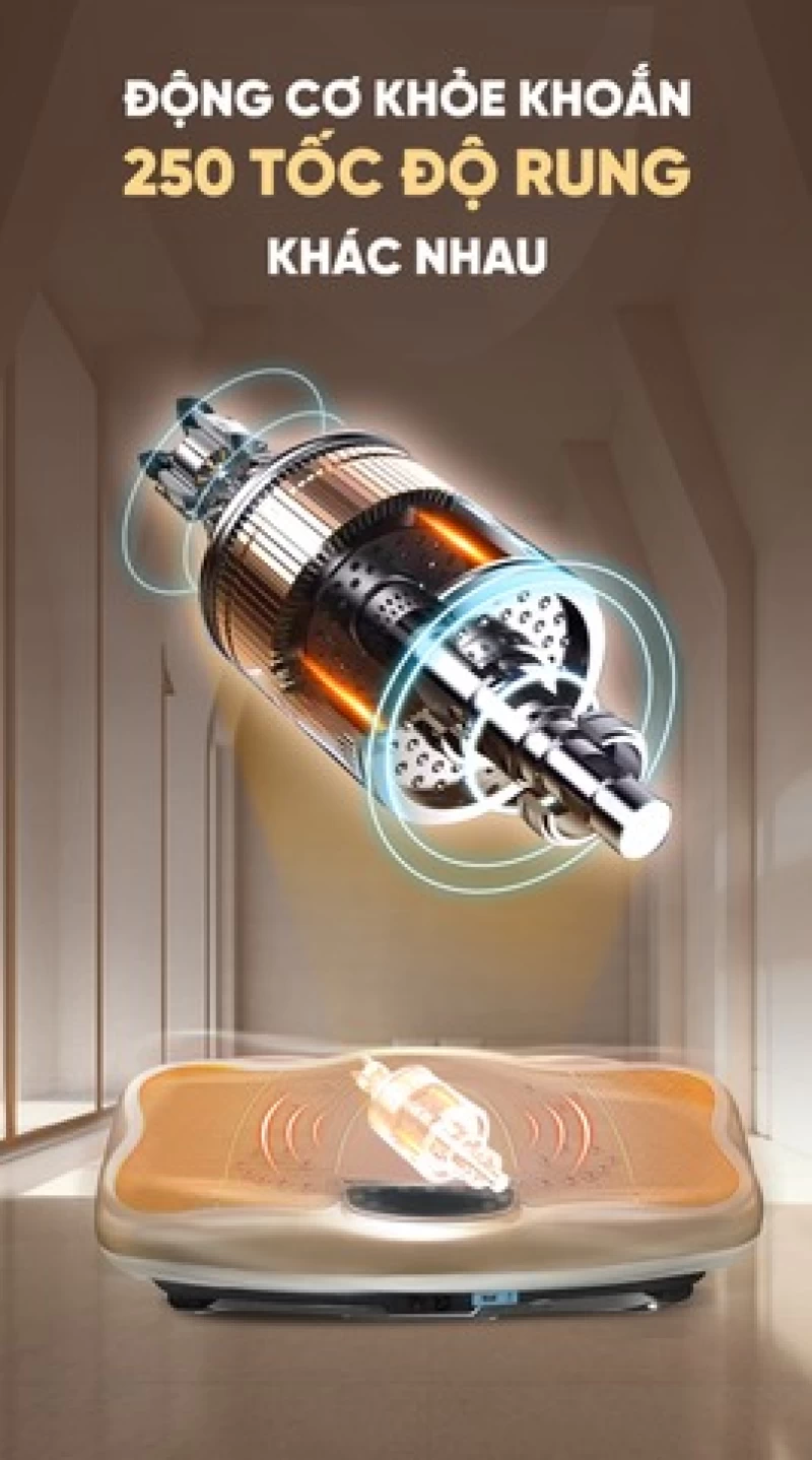 Máy rung toàn thân Queen Crown FR48 - Hình ảnh 9 QUEEN CROWN