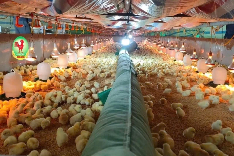 Máy sưởi công nghiệp 30KW dùng điện, diện tích sưởi 300m2 - Hình ảnh 3 OMYSU