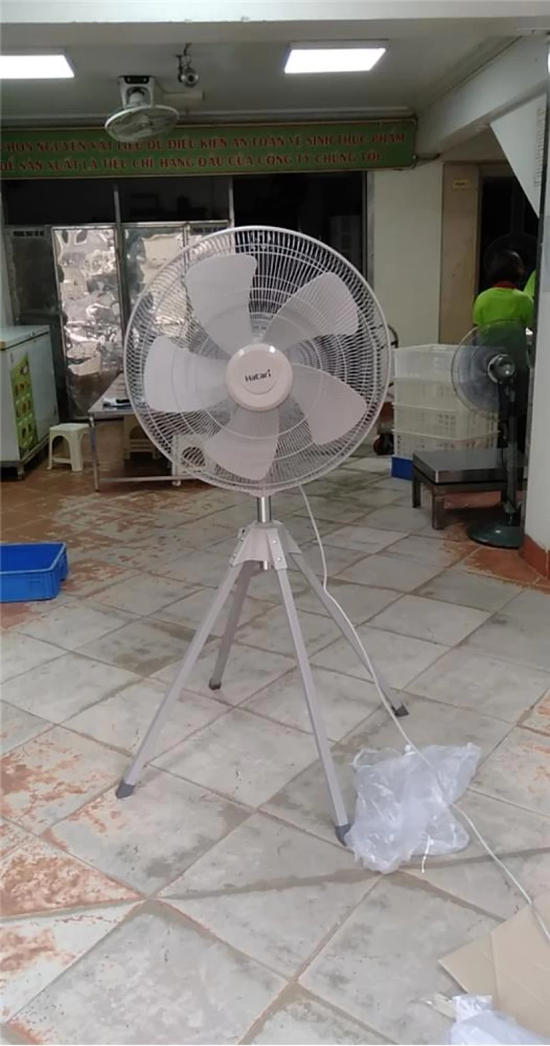 Quạt cây công nghiệp 4 chân Hatari IQ-22M1 - Hình ảnh 5 HATARI